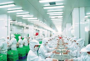 貴州茅臺市值突破1.5萬億 三季報凈利大增23%，白酒龍頭如何引領(lǐng)行業(yè)新風(fēng)向？
